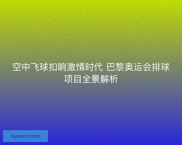 空中飞球扣响激情时代 巴黎奥运会排球项目全景解析